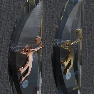 недорогие  спортвные призы для соревнований международного уровня изготавливаются вручную из оптического  стекла хрусталя посеребренной и  позолоченой бронзы